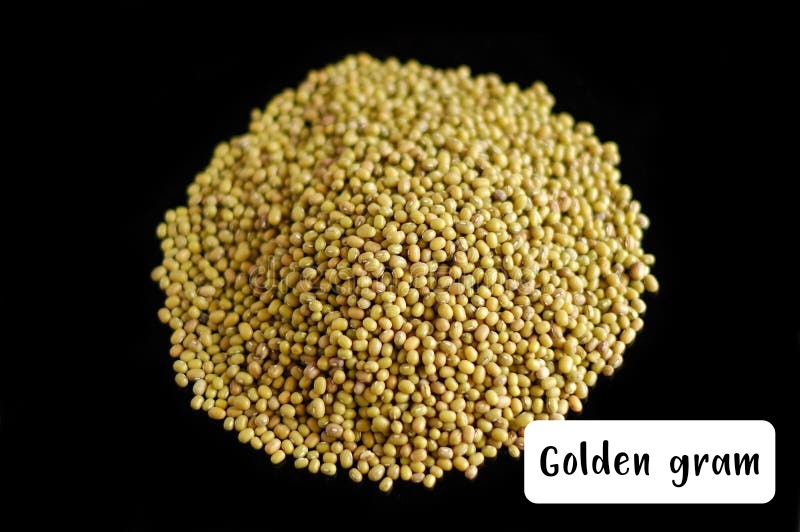 Seed